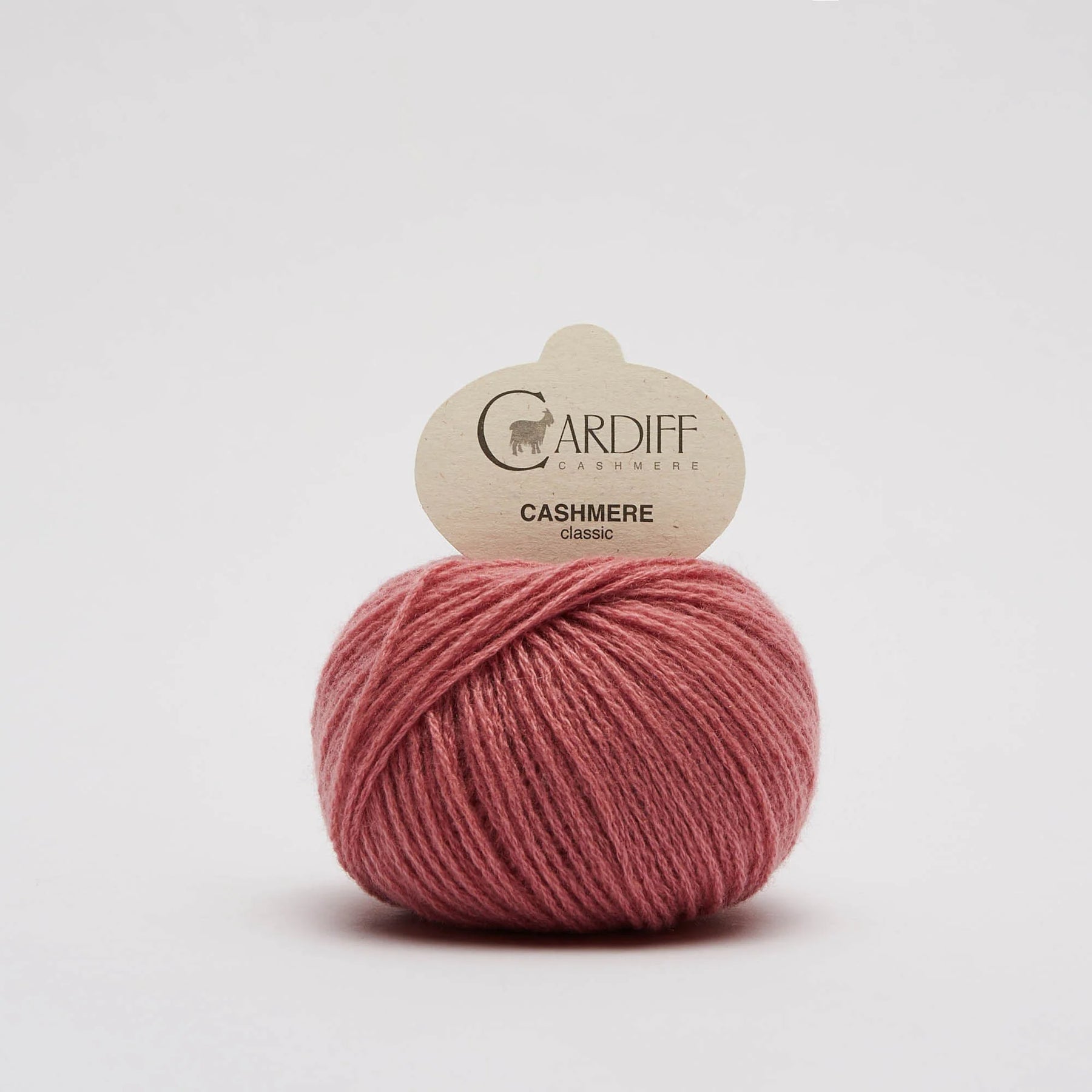 Cardiff Cashmere Classic 6/28 716 Hashi | Knitting yarn shop / dzijas veikals