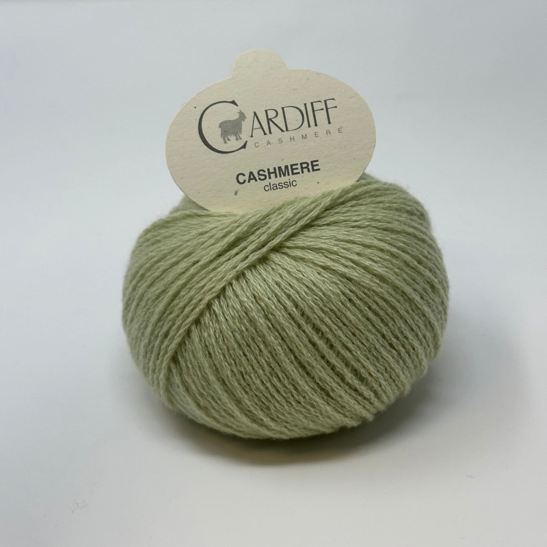 Cardiff Cashmere Classic 6/28 737 Nobu | Knitting yarn shop / dzijas veikals