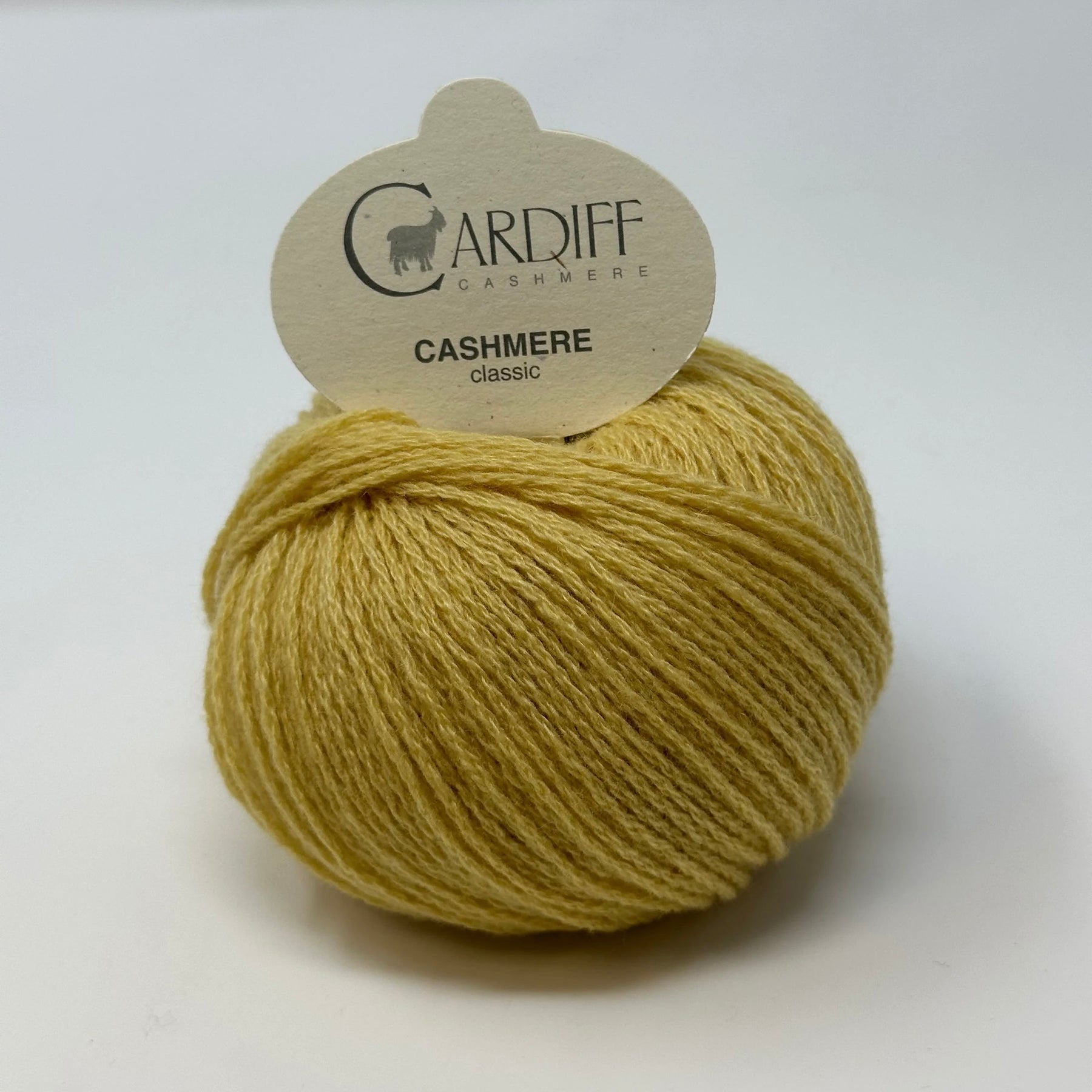 Cardiff Cashmere Classic 6/28 747 Smith | Knitting yarn shop / dzijas veikals