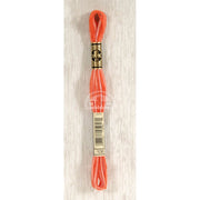 DMC Stranded cotton - 0062 | Knitting yarn shop / dzijas veikals