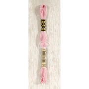 DMC Stranded cotton - 0069 | Knitting yarn shop / dzijas veikals