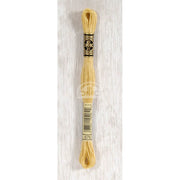 DMC Stranded cotton - 0204 | Knitting yarn shop / dzijas veikals