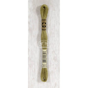 DMC Stranded cotton - 0365 | Knitting yarn shop / dzijas veikals