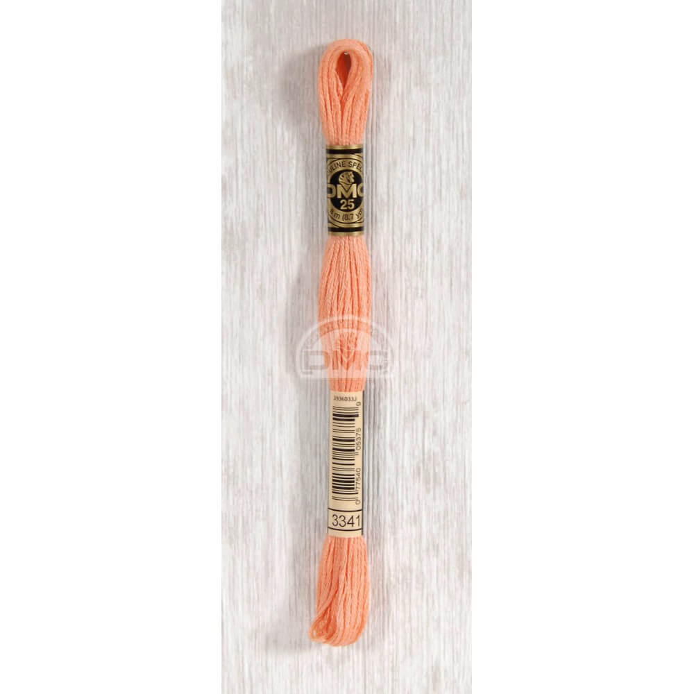 DMC Stranded cotton - 0389 | Knitting yarn shop / dzijas veikals