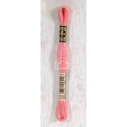 DMC Stranded cotton - 0408 | Knitting yarn shop / dzijas veikals