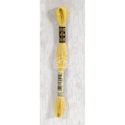 DMC Stranded cotton - 0467 | Knitting yarn shop / dzijas veikals