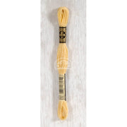 DMC Stranded cotton - 0500 | Knitting yarn shop / dzijas veikals