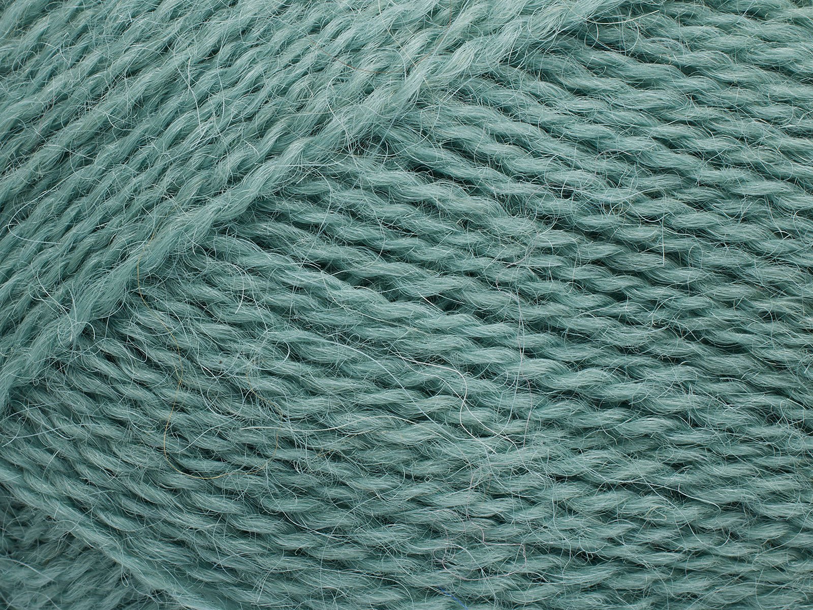 FILCOLANA Alva Yarn Eucalyptus - 368 | Knitting yarn shop / dzijas veikals