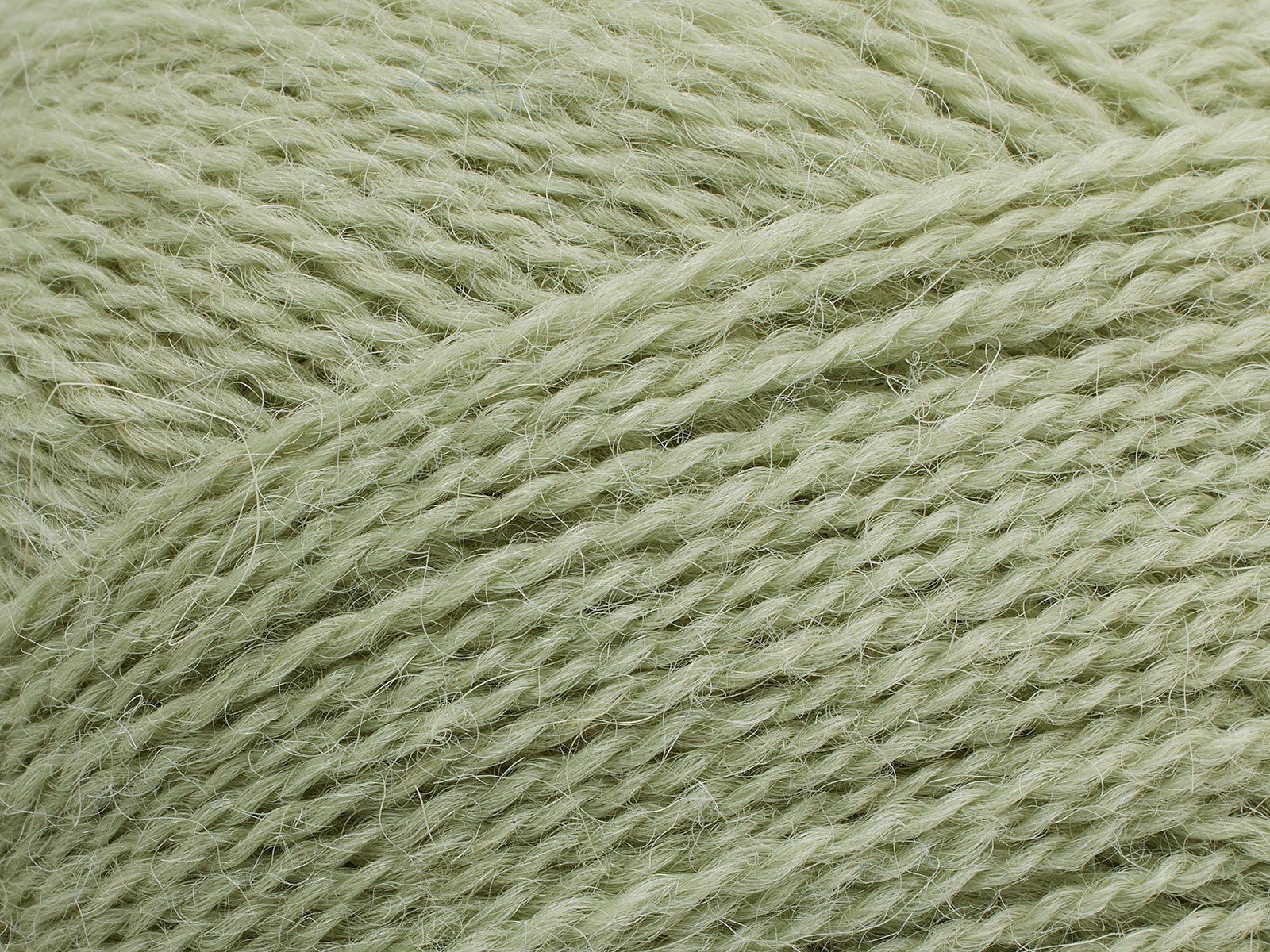 FILCOLANA Alva Yarn Green Tea - 355 | Knitting yarn shop / dzijas veikals