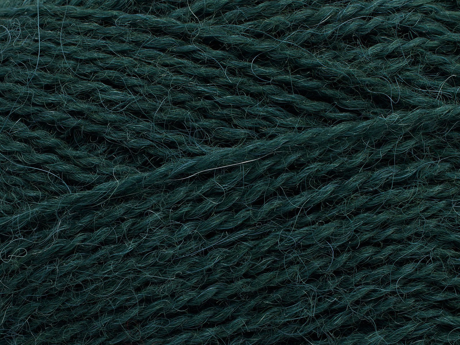 FILCOLANA Alva Yarn Hunter Green - 147 | Knitting yarn shop / dzijas veikals