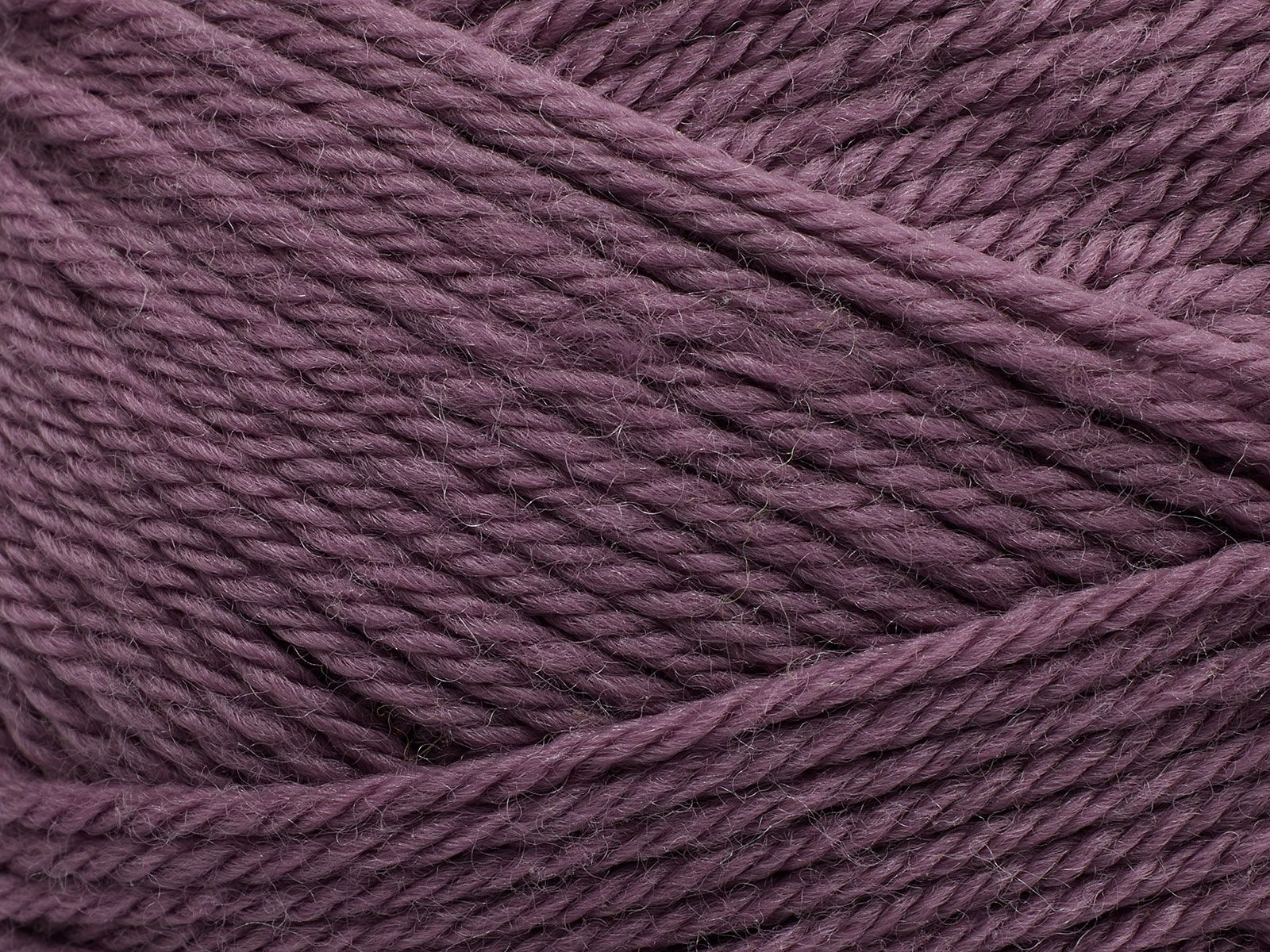 FILCOLANA Anina Merino Yarn Purpur - 1850 | Knitting yarn shop / dzijas veikals
