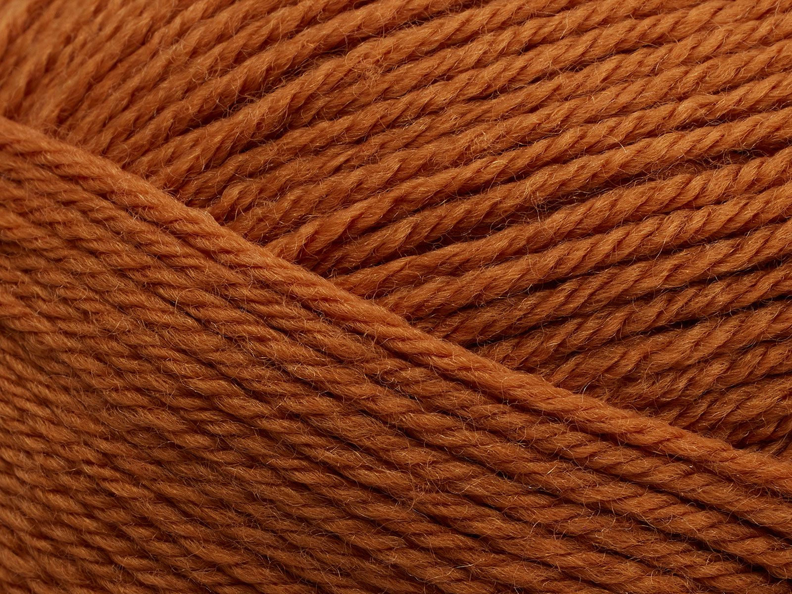 FILCOLANA Anina Merino Yarn Sugar Almond - 366 | Knitting yarn shop / dzijas veikals