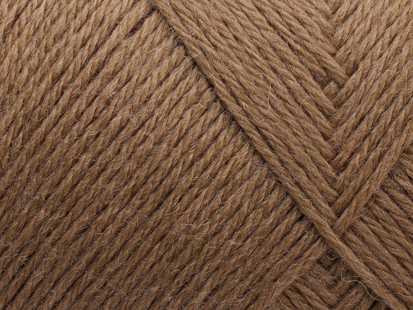 FILCOLANA Arwetta 70 color variants Camel - 203 | Knitting yarn shop / dzijas veikals