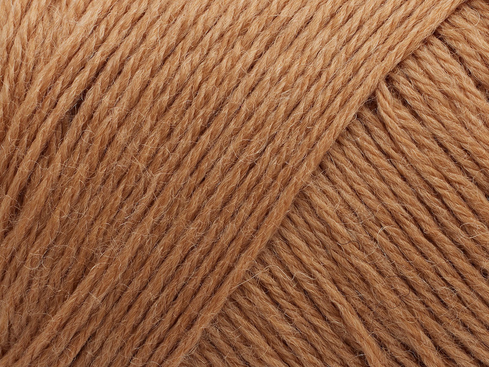 FILCOLANA Arwetta 70 color variants Caramel - 363 | Knitting yarn shop / dzijas veikals