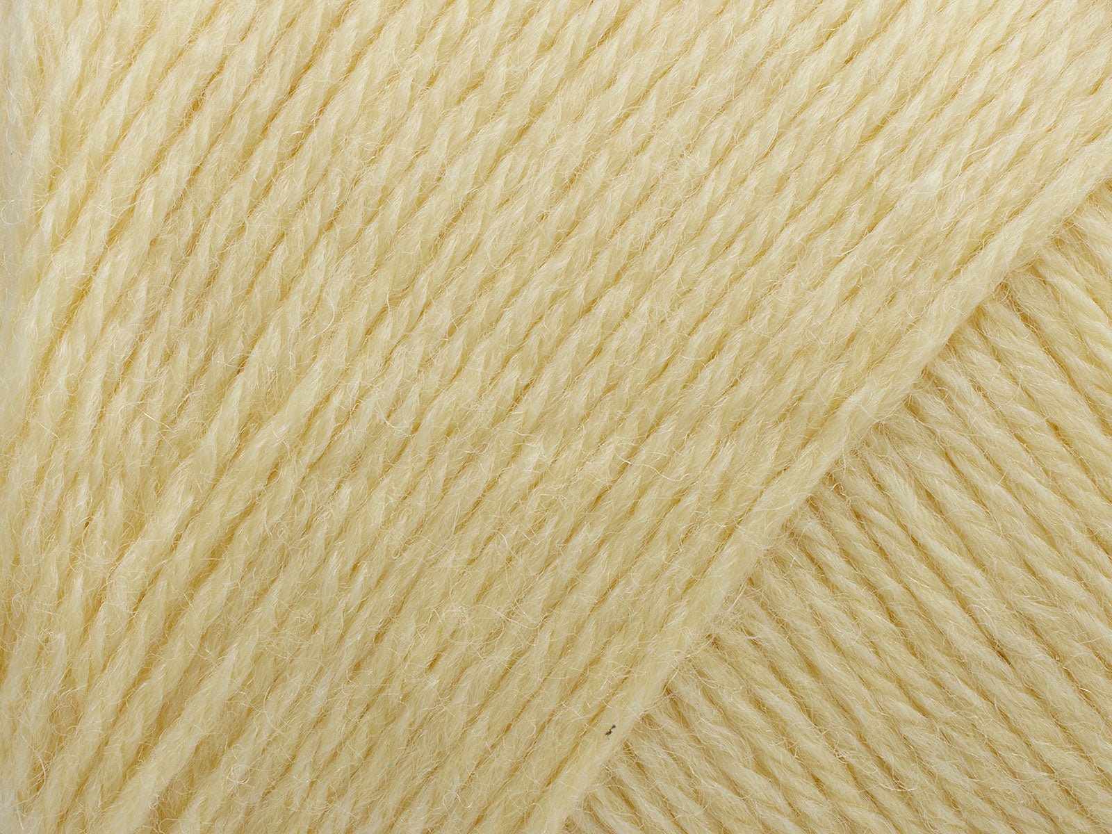 FILCOLANA Arwetta 70 color variants French Vanilla - 196 | Knitting yarn shop / dzijas veikals