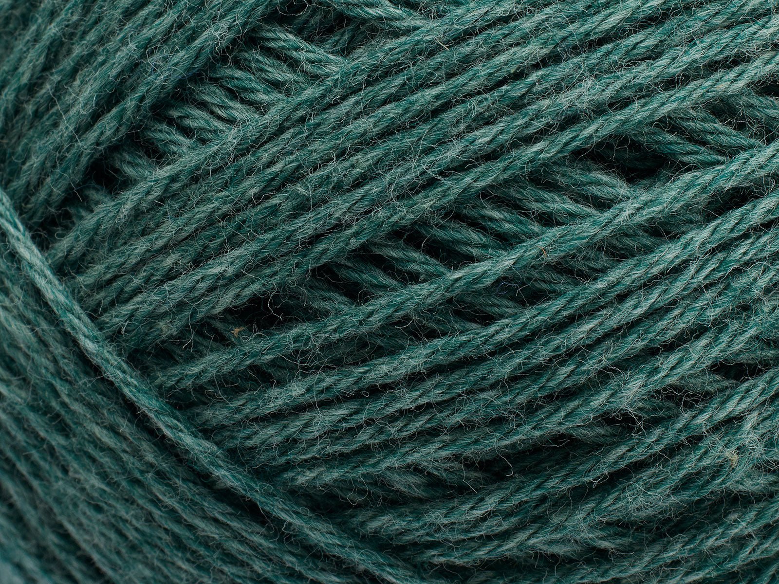 FILCOLANA Merci Grasshopper - 619 | Knitting yarn shop / dzijas veikals