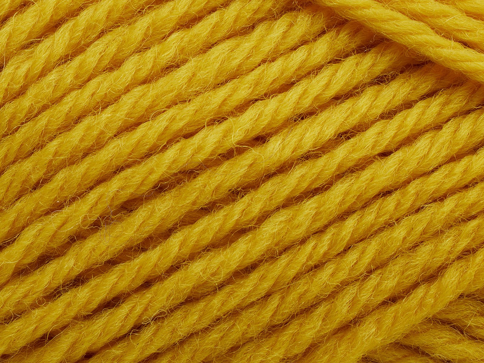 FILCOLANA Peruvian Sunflower - 223 | Knitting yarn shop / dzijas veikals