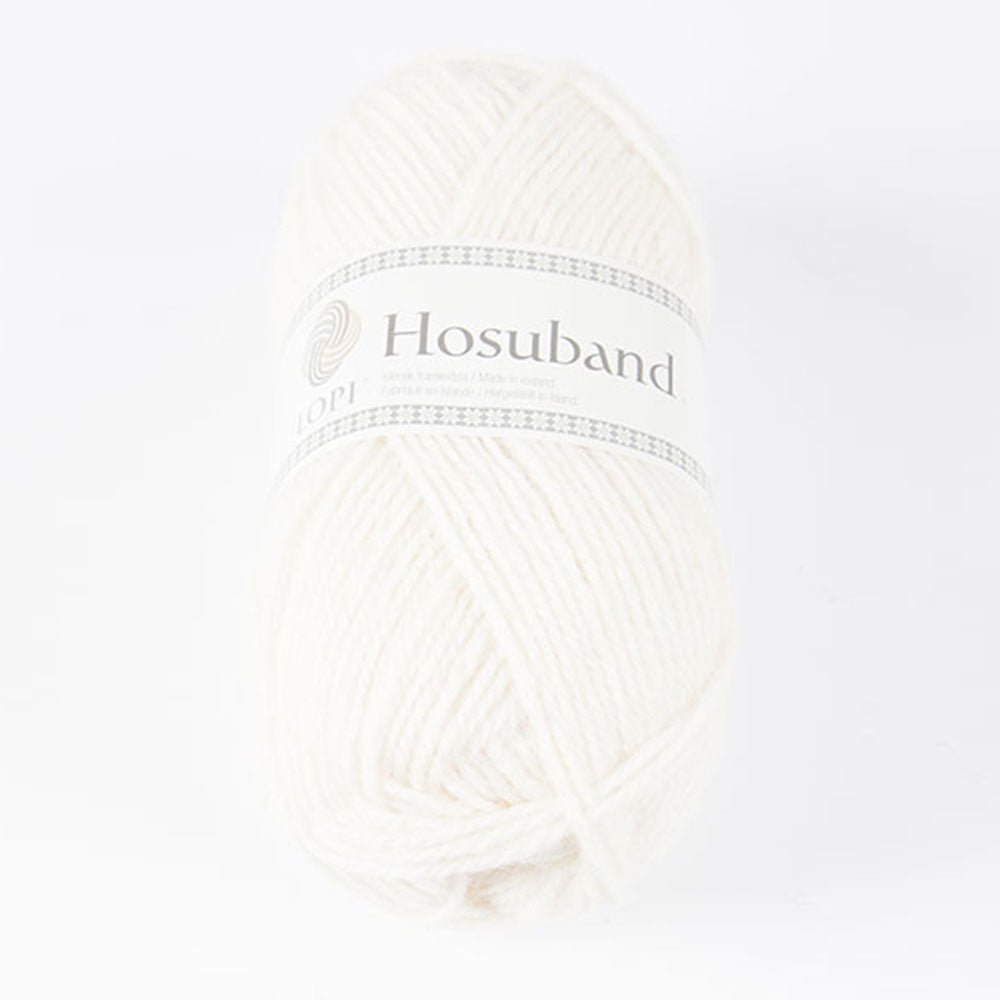 Istex Lopi Hosuband Sock Yarn, 100g 9245 | Knitting yarn shop / dzijas veikals