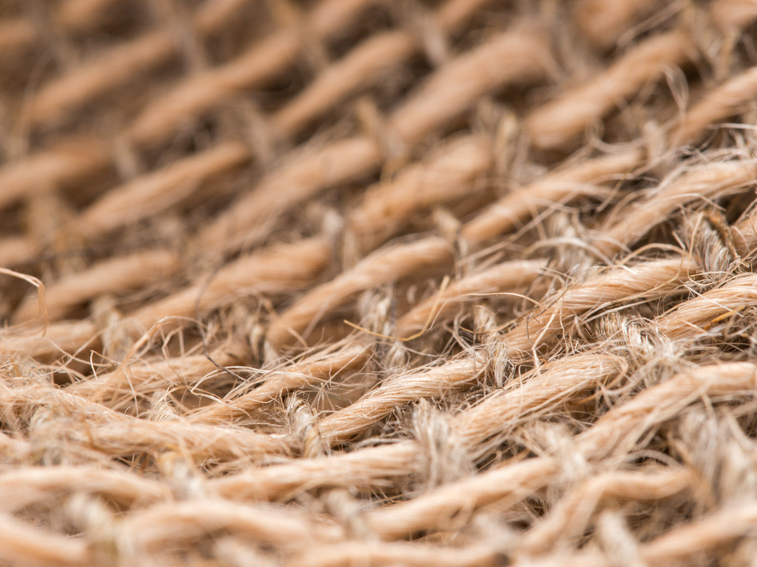 Raffia Yarn