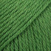 KARISMA UNI COLOUR 47 forest green | Knitting yarn shop / dzijas veikals