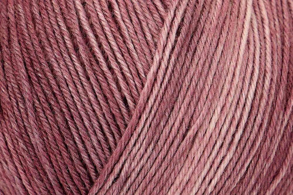 Regia Color Premium Silk Sock Yarn 100g 0045 Feige | Knitting yarn shop / dzijas veikals