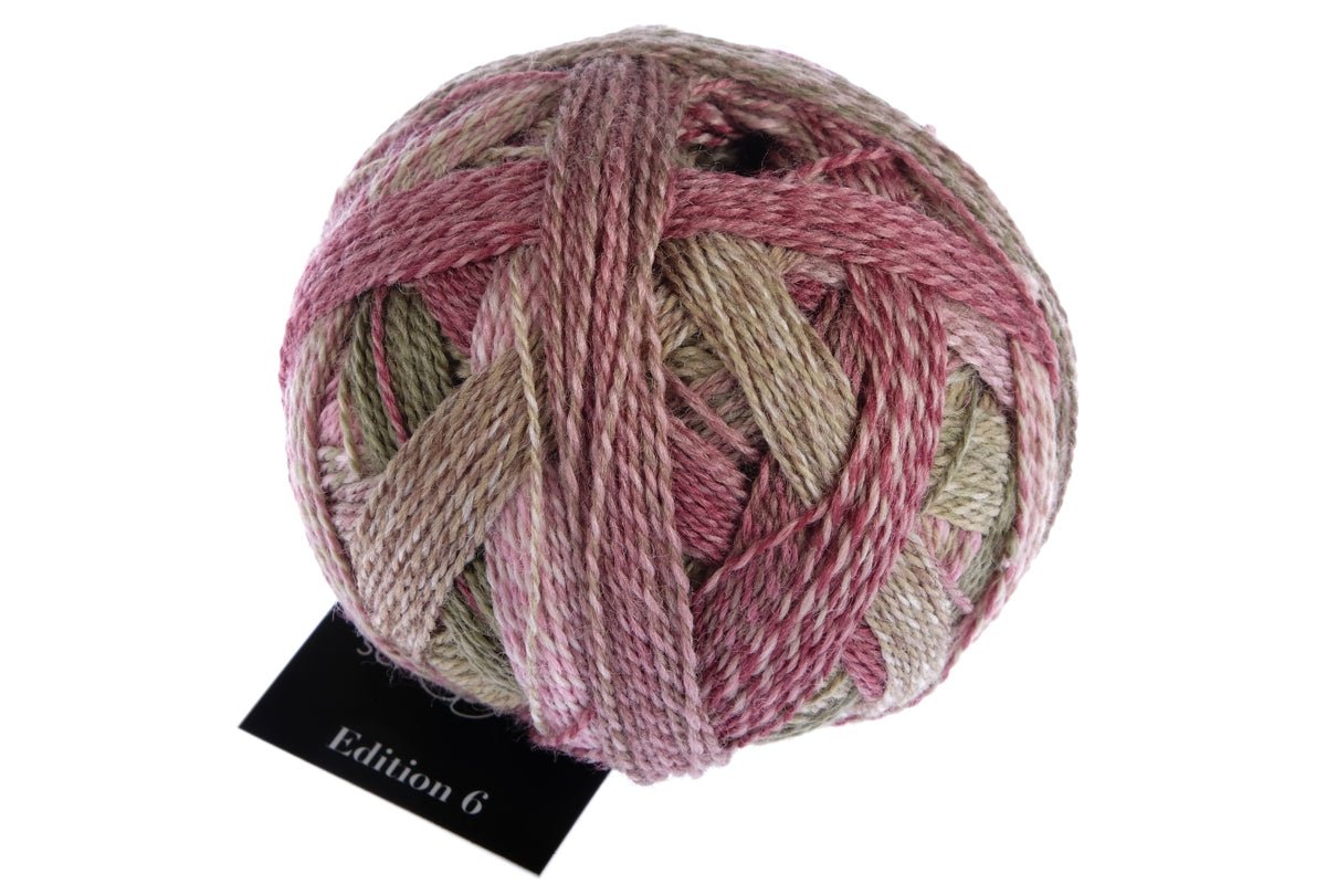 Schoppel Edition 6 Extra - Fine Merino Wool Yarn 2442_Third Class | Knitting yarn shop / dzijas veikals