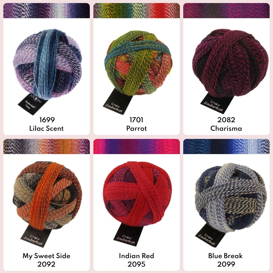 Schoppel Zauberball®Crazy Yarn 1507_Autumn Wind | Knitting yarn shop / dzijas veikals
