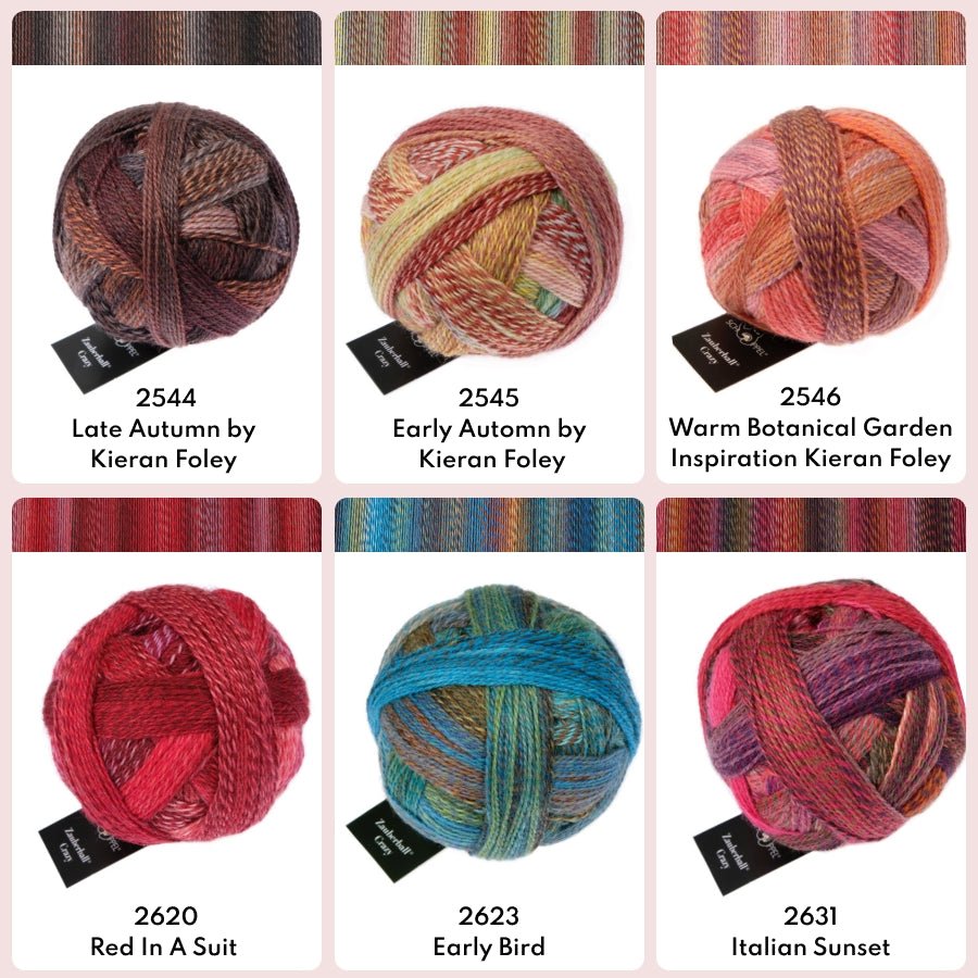Schoppel Zauberball®Crazy Yarn 1507_Autumn Wind | Knitting yarn shop / dzijas veikals